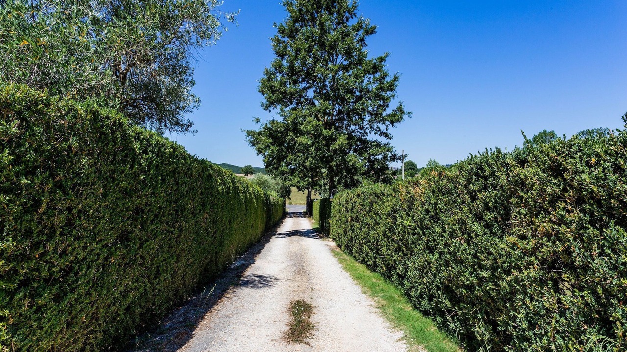 Photo of Others in Casole d'Elsa