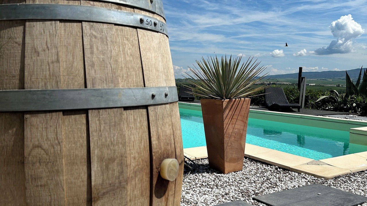 Photo of Outdoor in Rosignano Marittimo