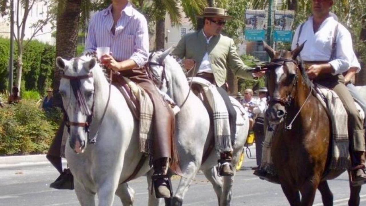 Photo of Others in Torreblanca
