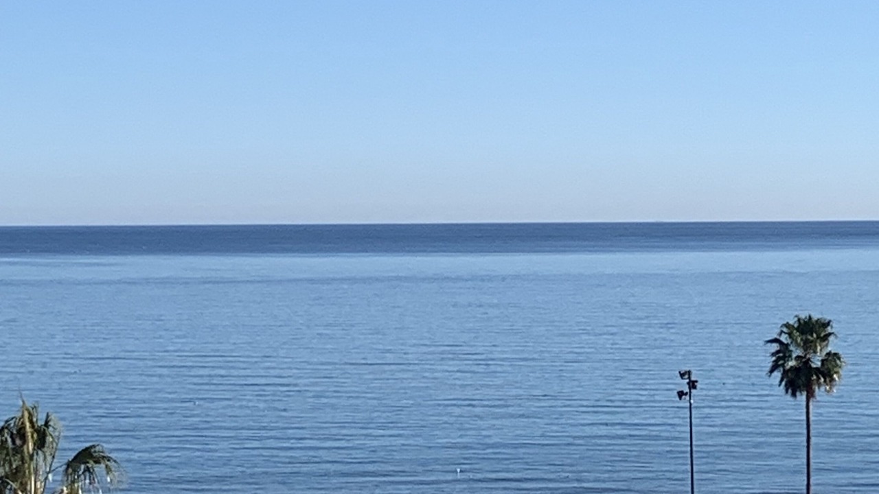 Photo of Others in Torreblanca