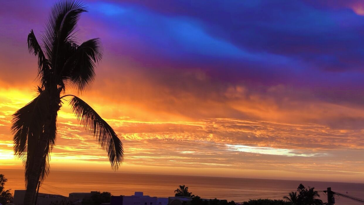 Photo of Others in San Jose del Cabo