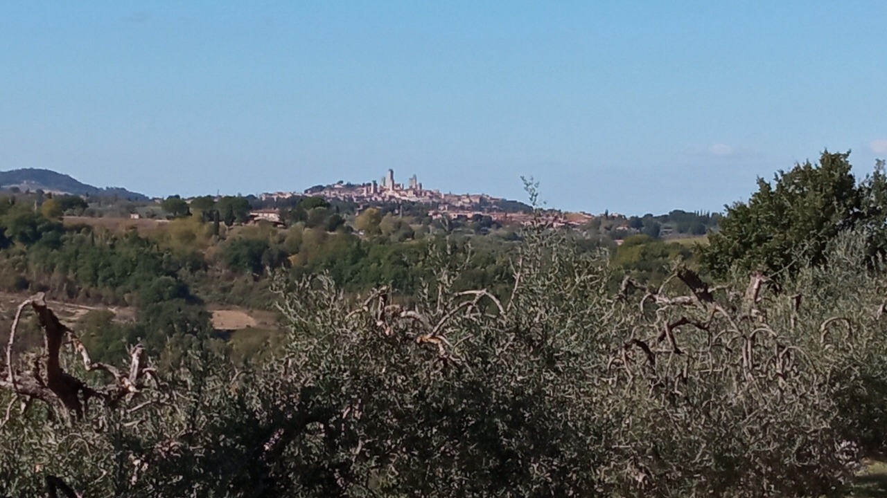 Photo of Others in Borgatello