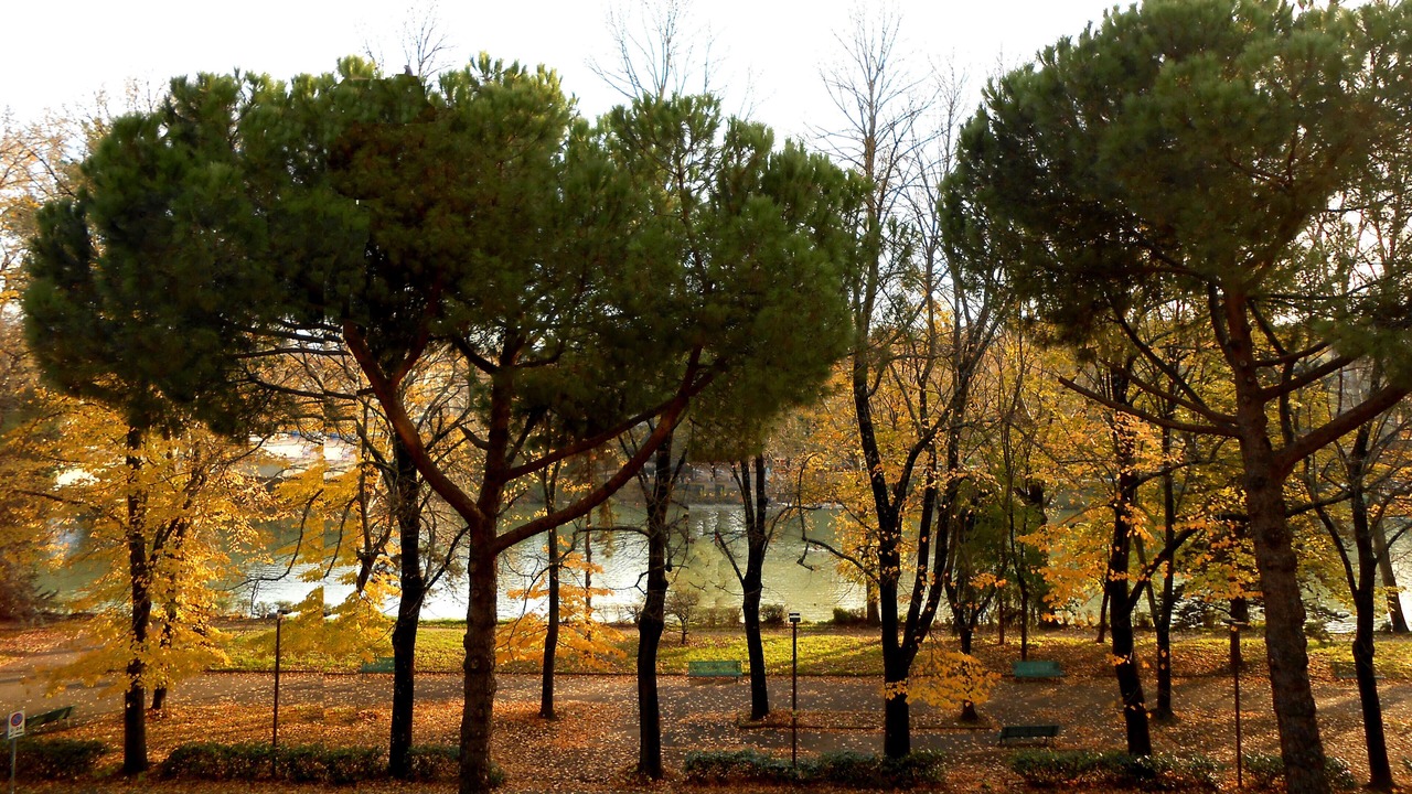Photo of Others in Lungarno del Tempio