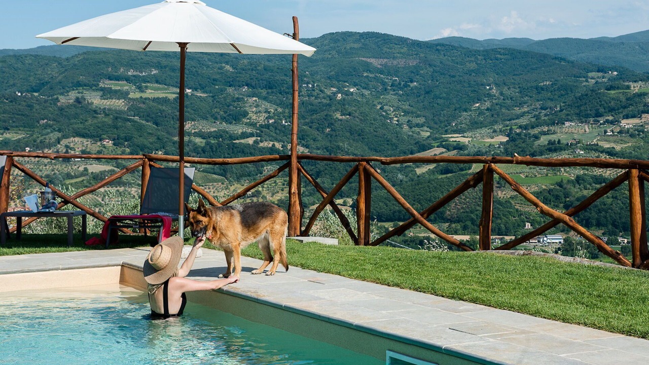 Photo of Outdoor in Pontassieve