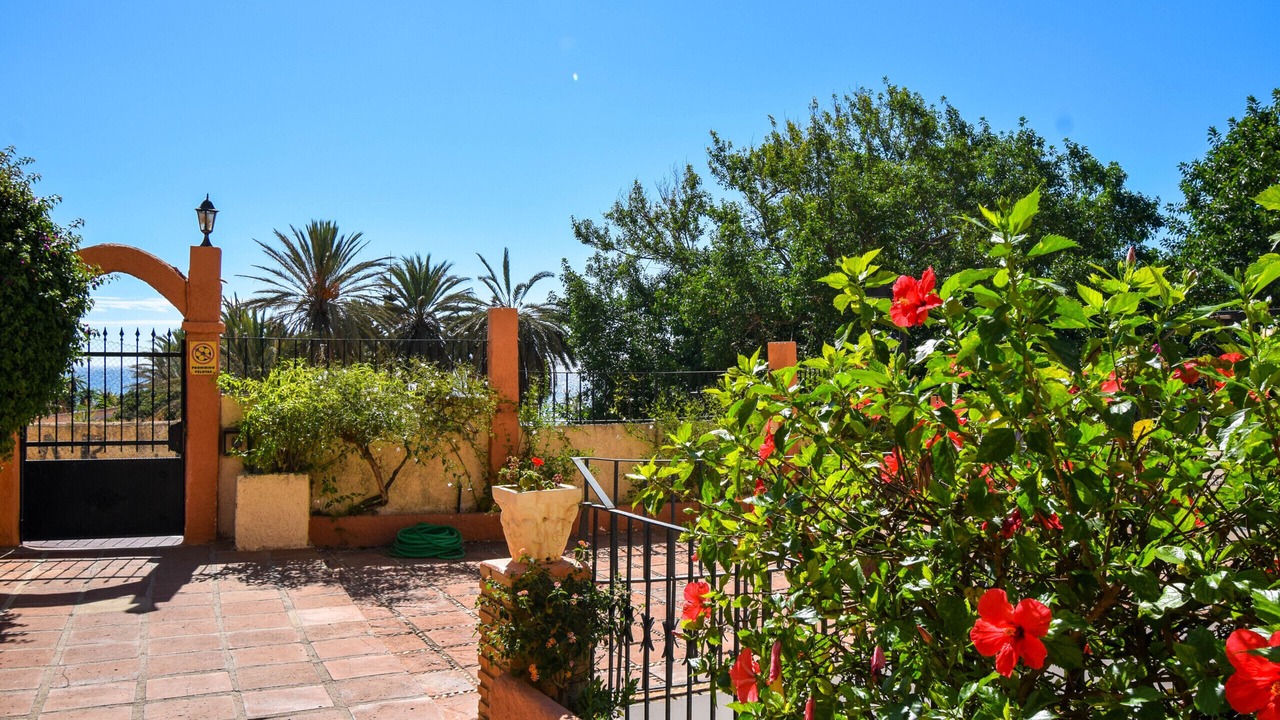 Photo of Outdoor in Torreblanca