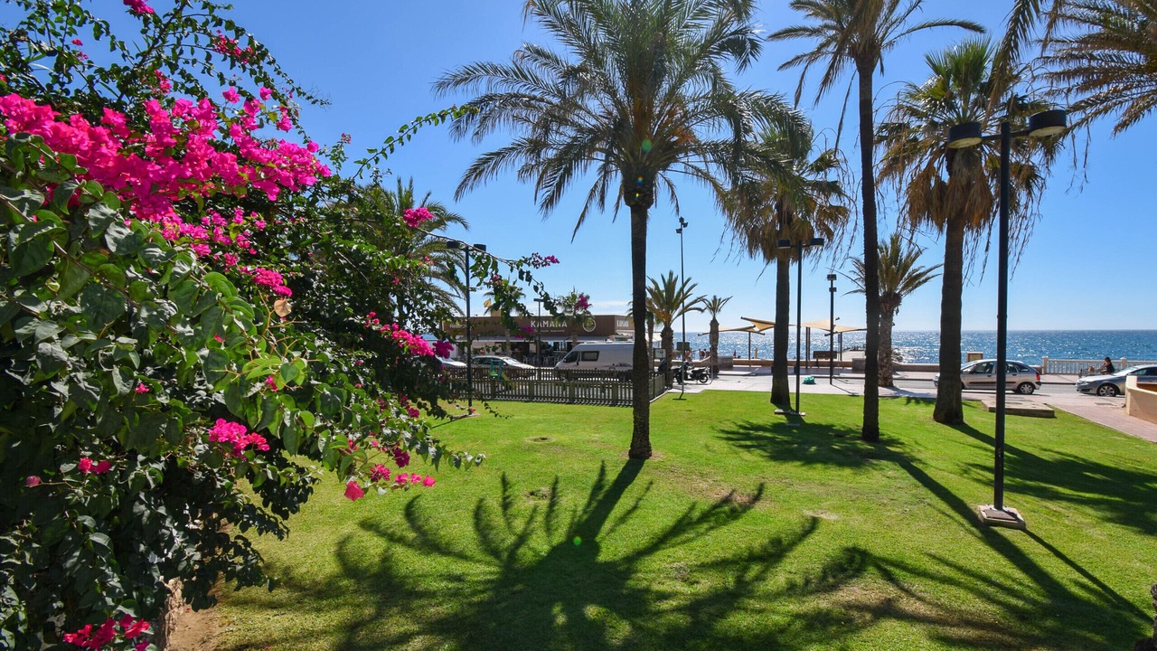 Photo of Outdoor in Torreblanca