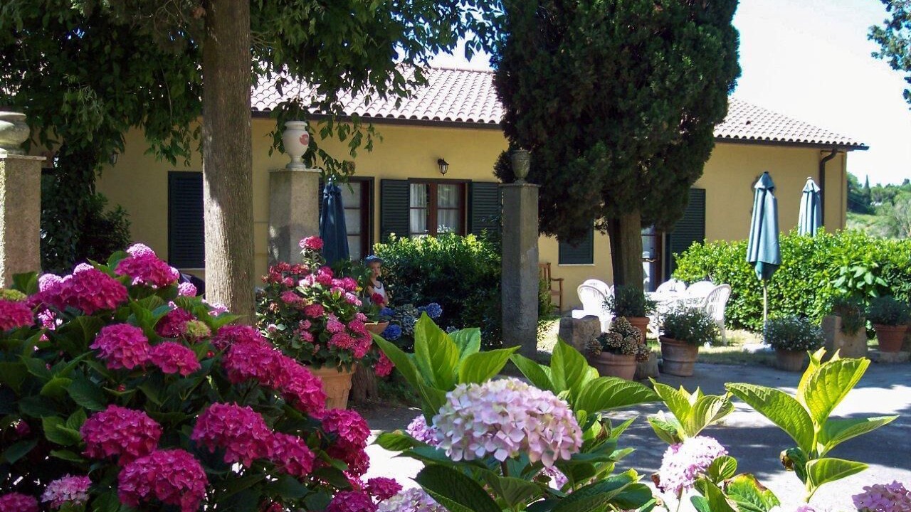 Photo of Outdoor in Guardistallo