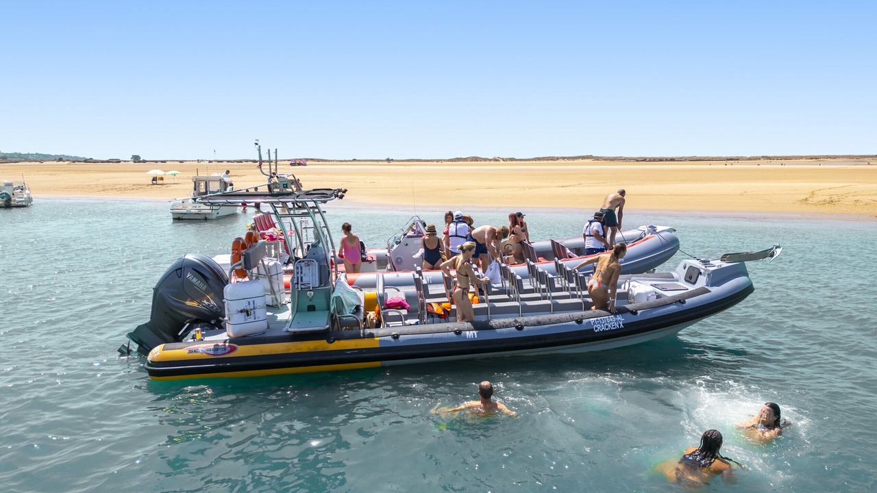 Photo of Others in Calicos