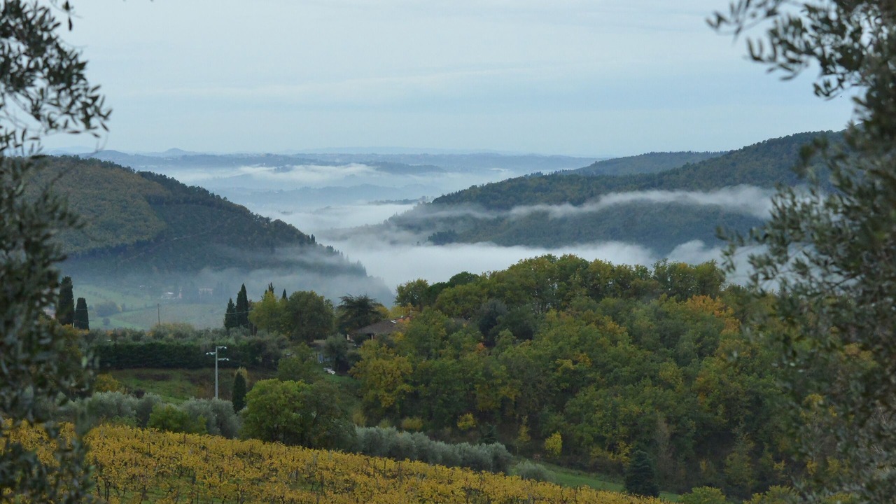 Photo of Others in Pontassieve