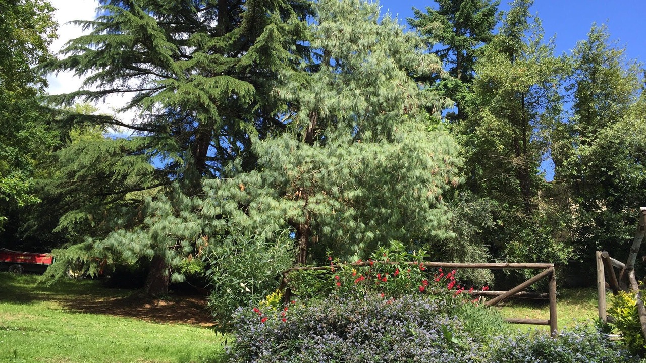 Photo of Outdoor in Pontassieve