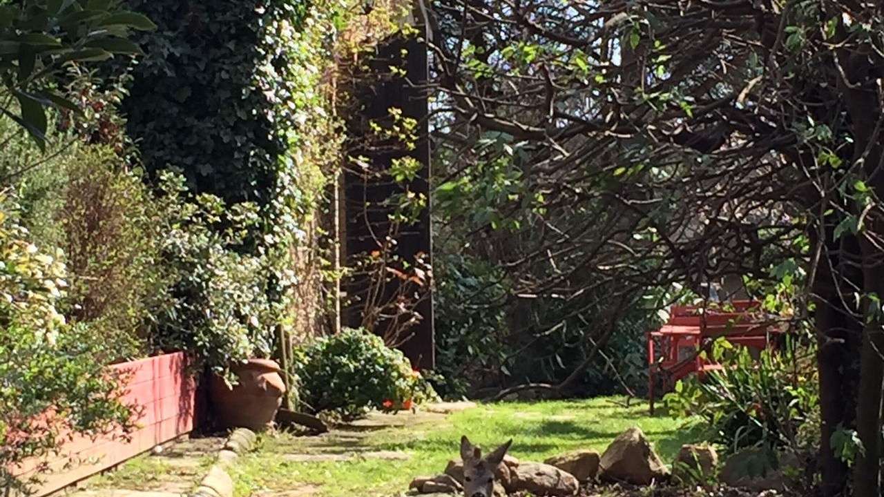 Photo of Outdoor in Pontassieve