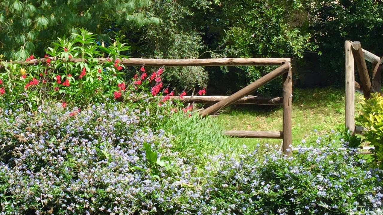 Photo of Outdoor in Pontassieve