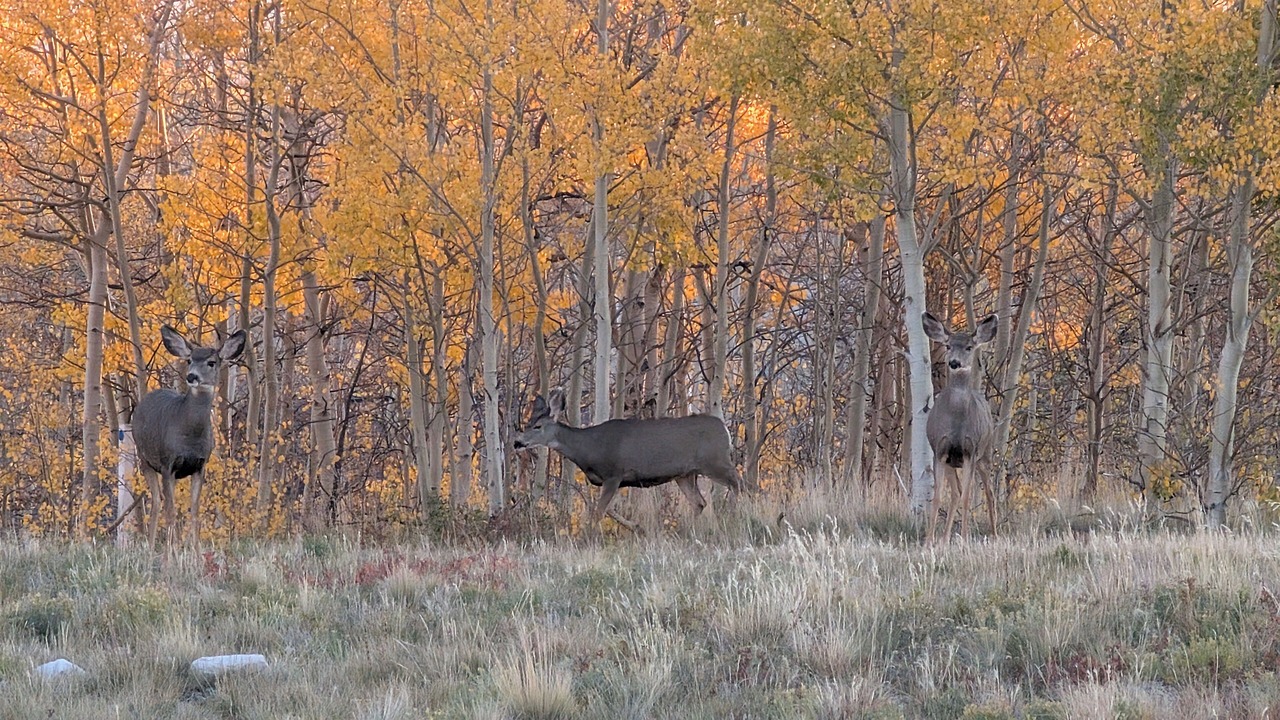 Photo of Others in Warm Springs