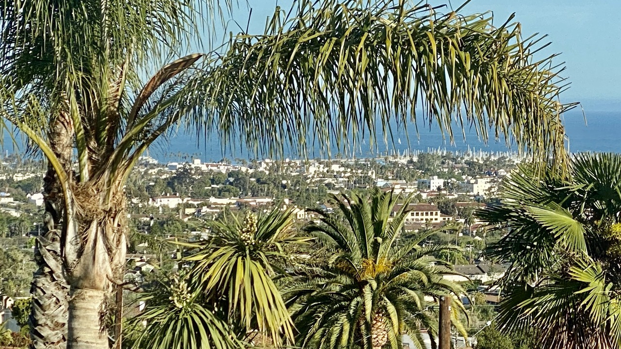 Photo of Others in Lower Riviera