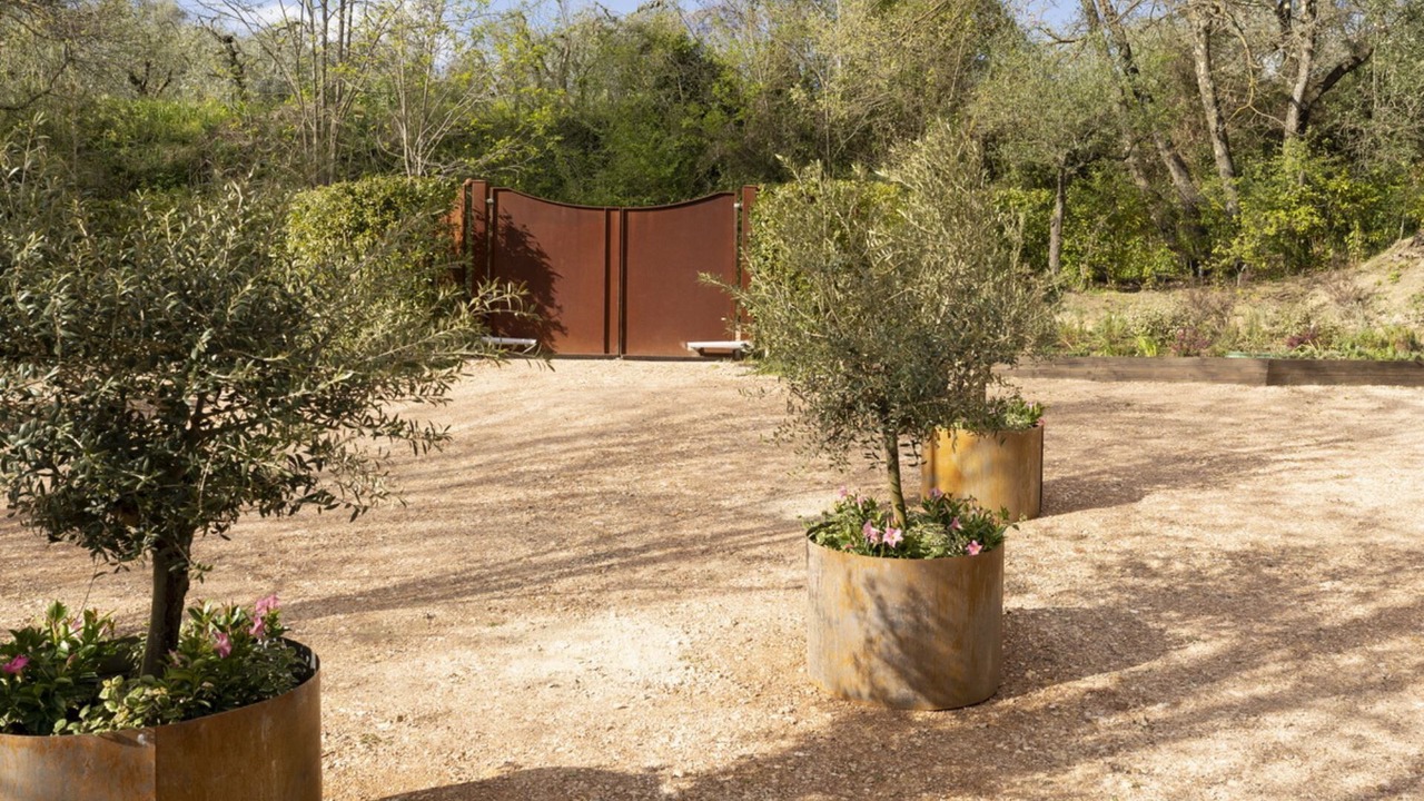 Photo of Outdoor in Palaia