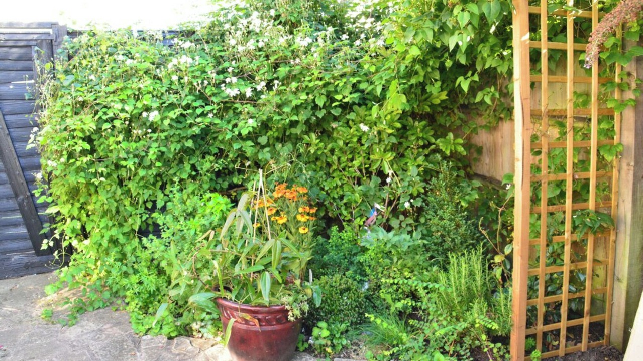 Photo of Outdoor in Shottery