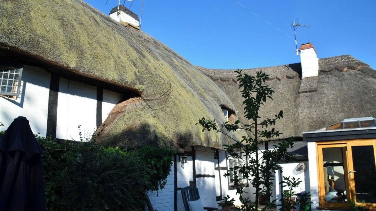 Photo of Outdoor in Shottery