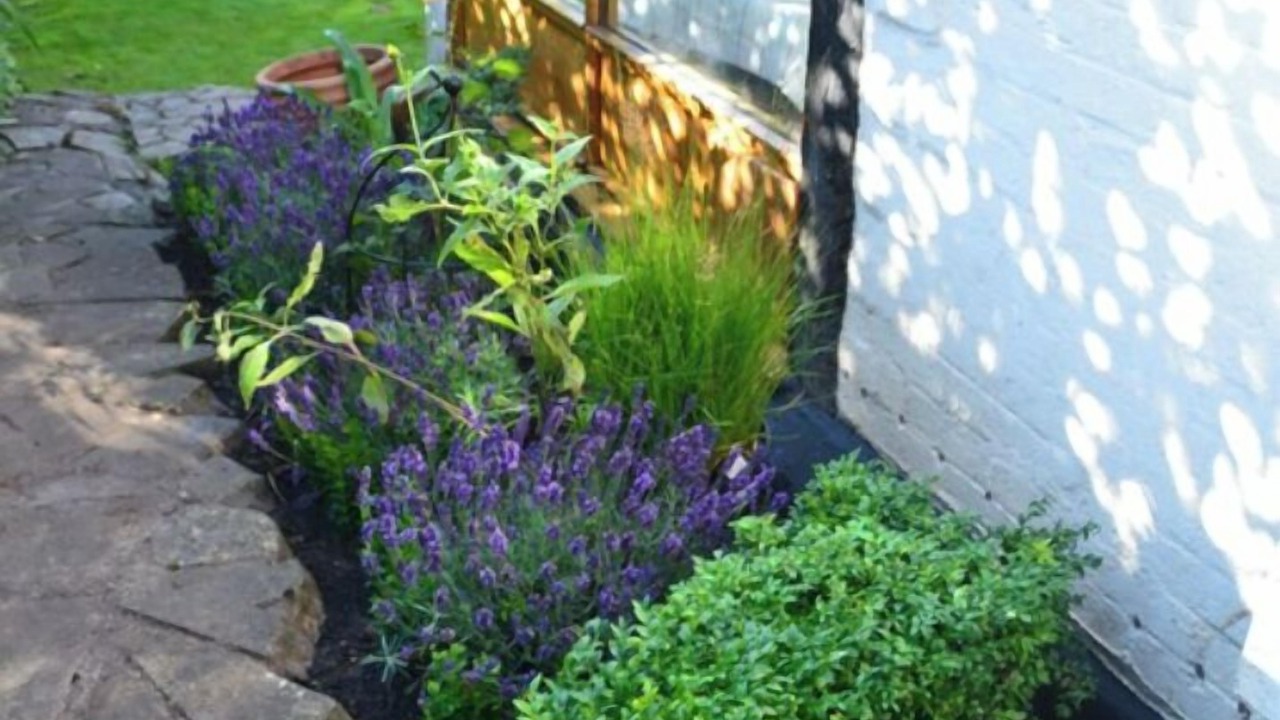 Photo of Outdoor in Shottery