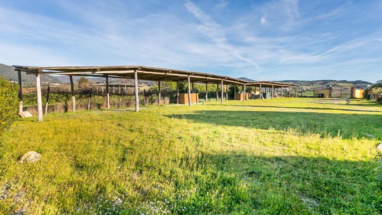 Photo of Outdoor in Santa Luce