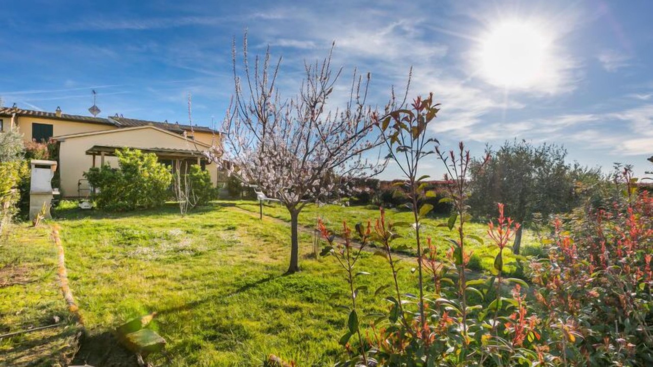 Photo of Outdoor in Santa Luce