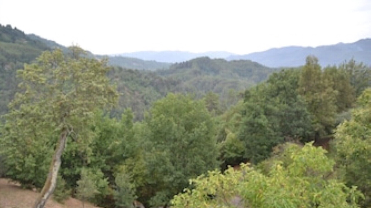 Photo of Outdoor in Mologno