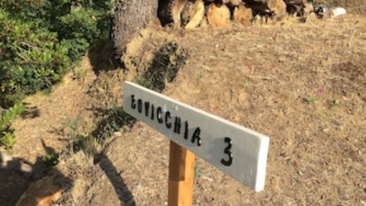Photo of Outdoor in Mologno