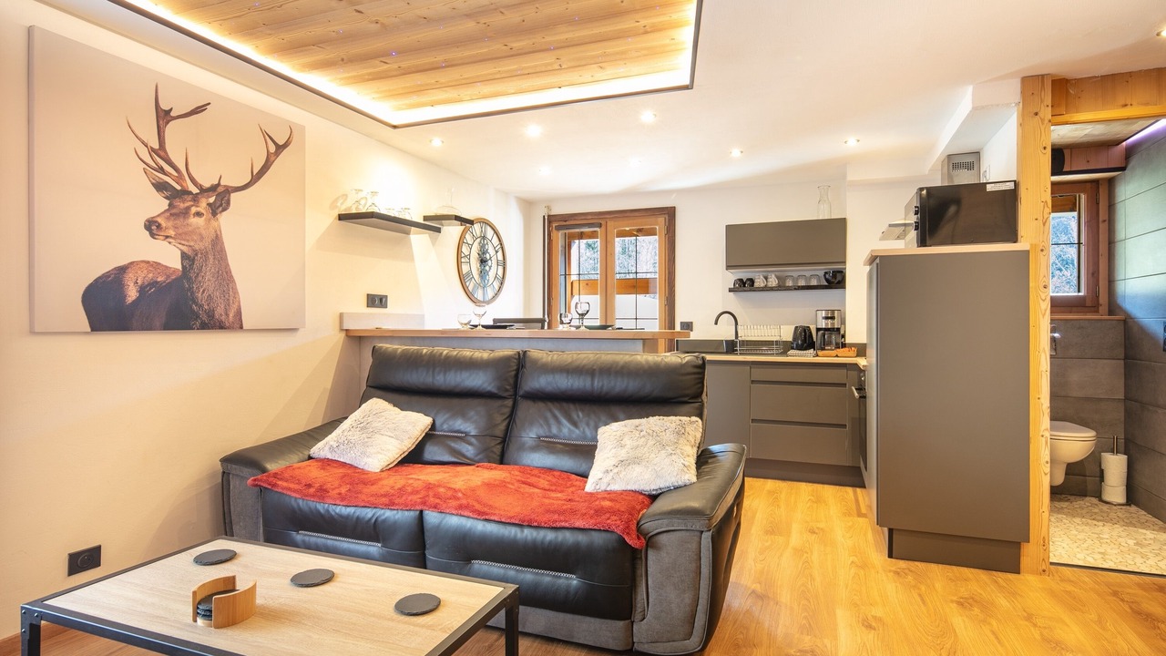 Photo of Livingroom in La Giettaz