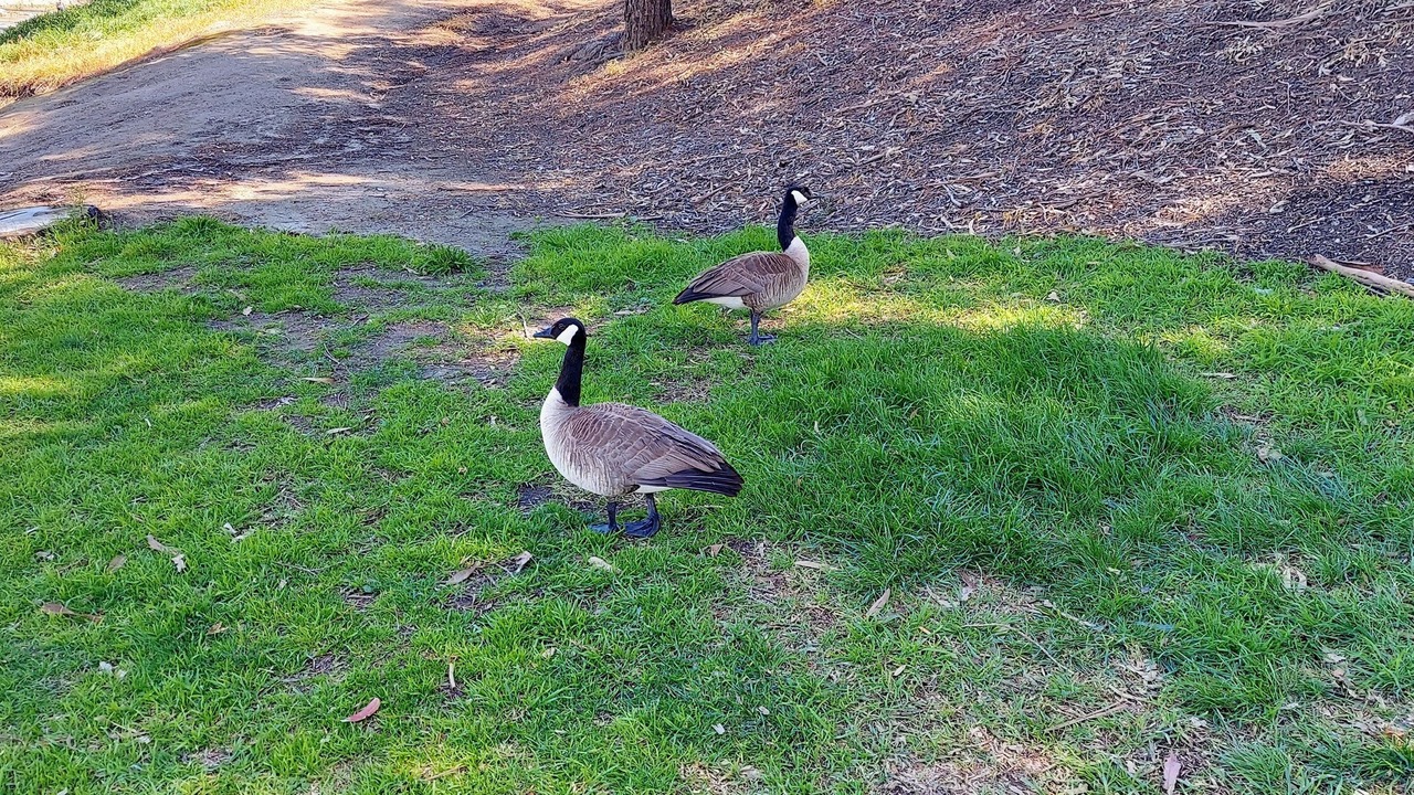 Photo of Outdoor in Simi Valley