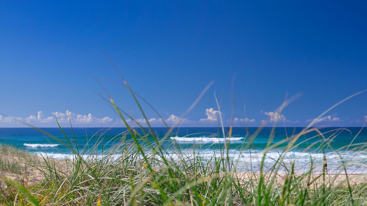 Photo of Others in Sunshine Beach