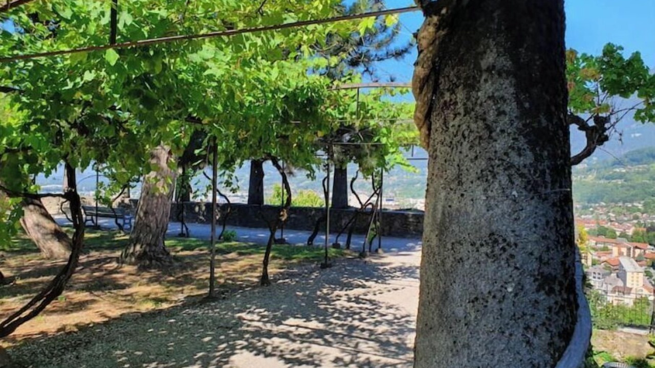 Photo of Outdoor in Albertville