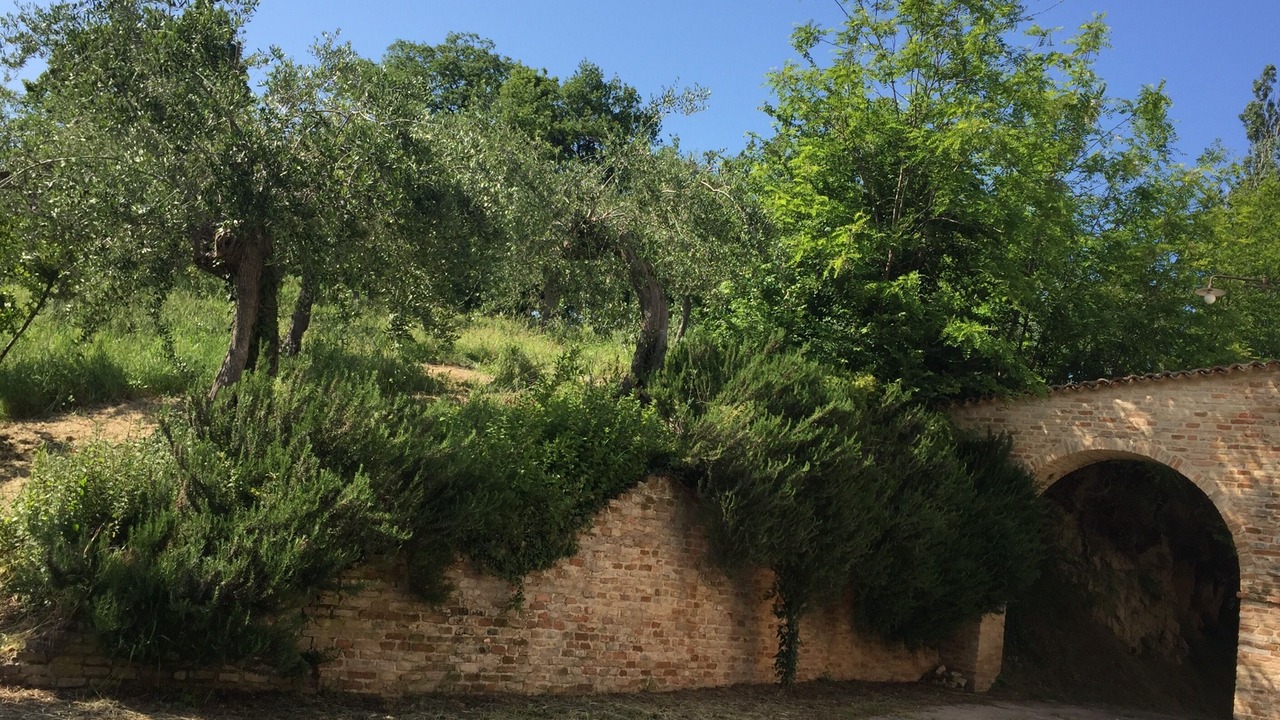 Photo of Outdoor in Saludecio