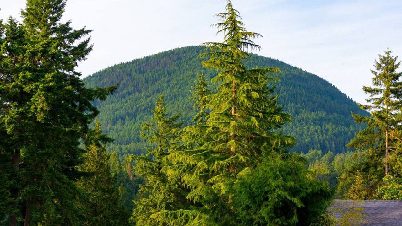 Photo of Others in Bowen Island