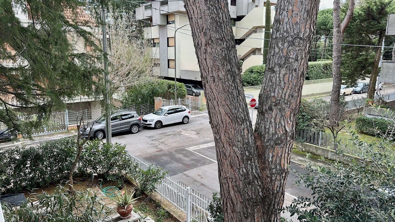 Photo of Outdoor in Alba