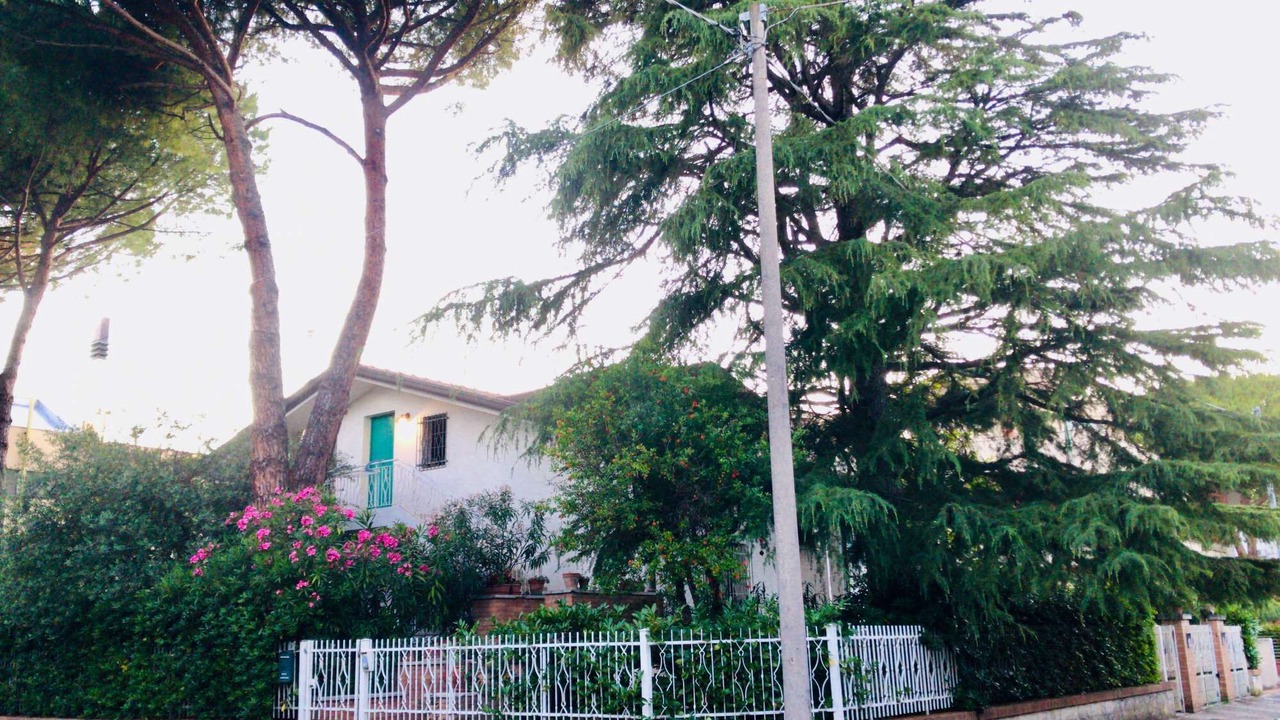 Photo of Outdoor in Alba