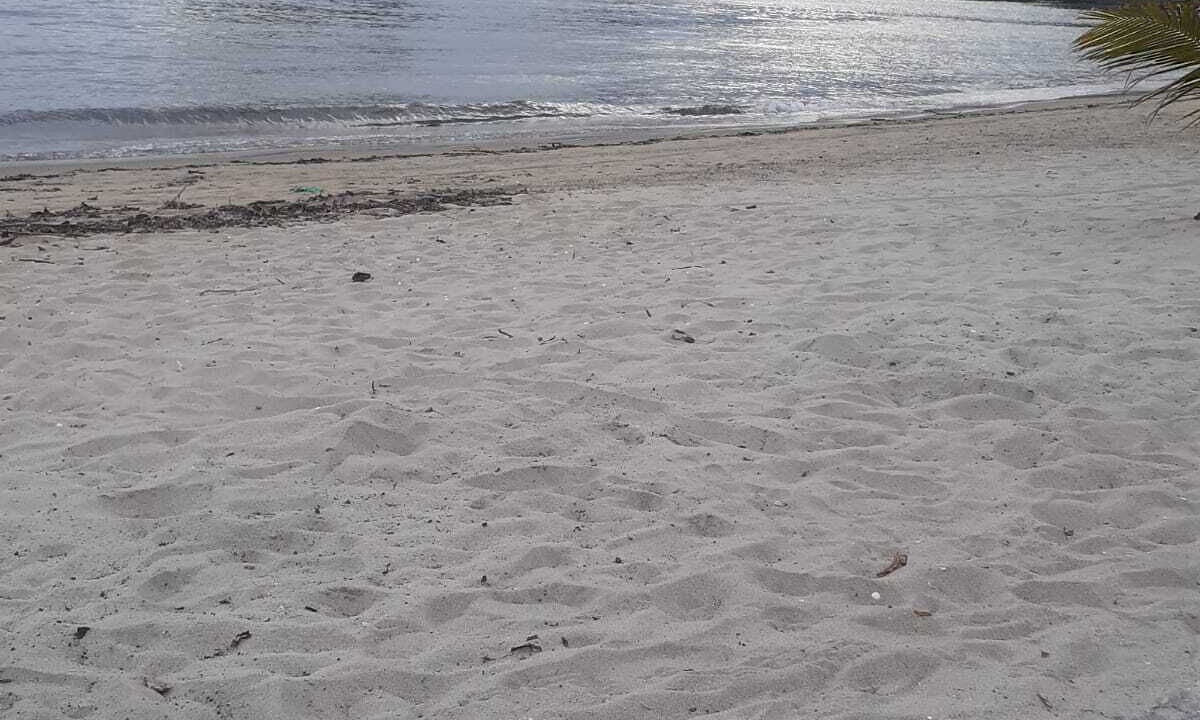 Photo of Others in Itinga