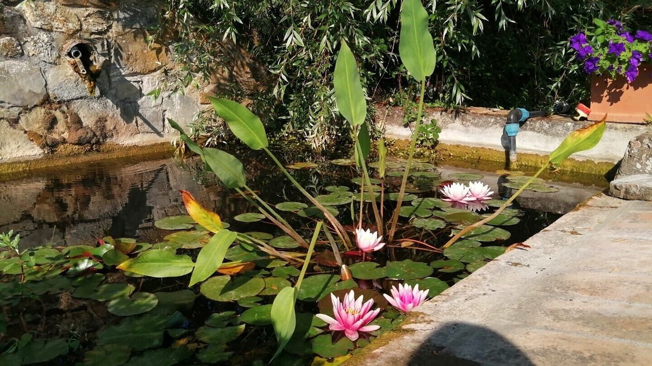 Photo of Outdoor in Castelnuovo di Val di Cecina