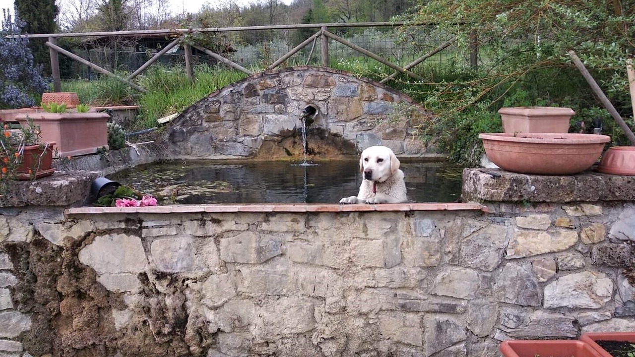 Photo of Outdoor in Castelnuovo di Val di Cecina
