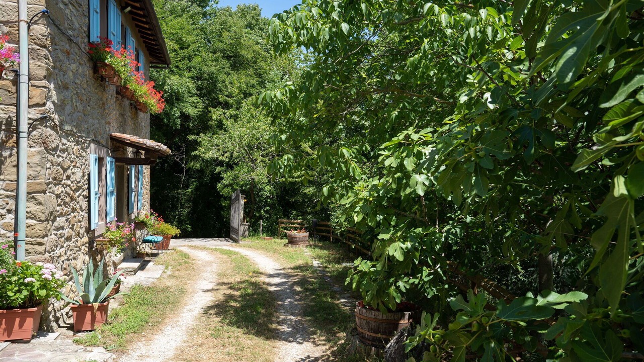 Photo of Others in Borgo San Lorenzo
