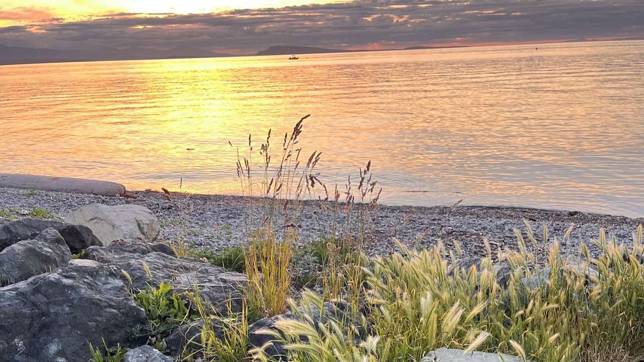 Photo of Others in Regional District of Nanaimo