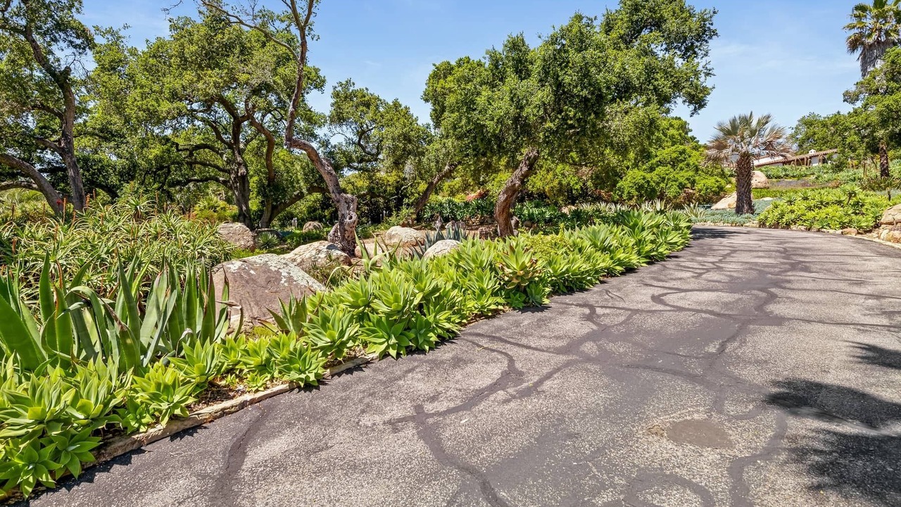 Photo of Outdoor in Cielito