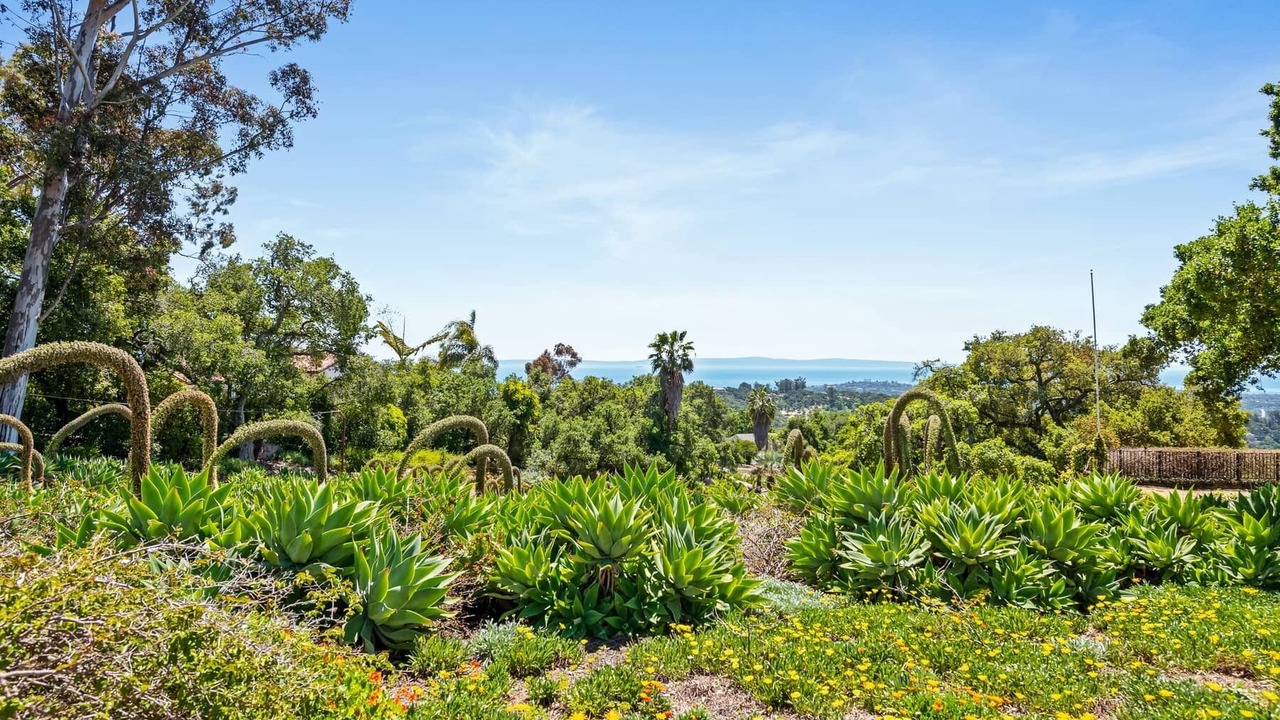 Photo of Outdoor in Cielito
