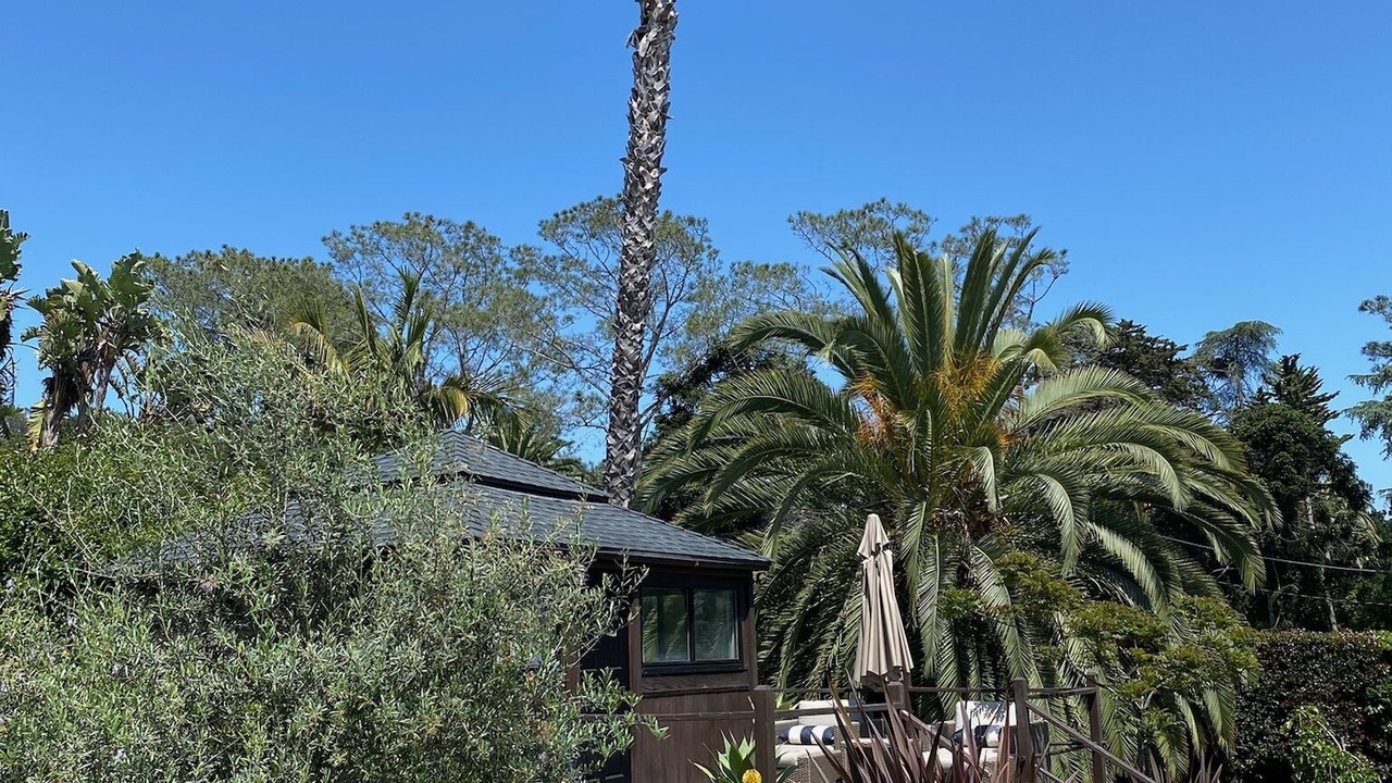 Photo of Others in Eucalyptus Hill