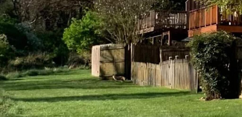 Photo of Outdoor in Aspen Hill