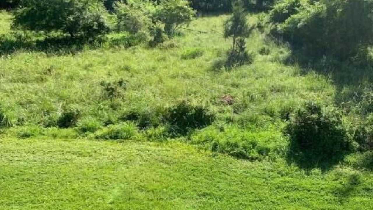 Photo of Outdoor in Aspen Hill
