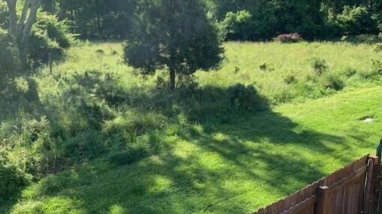 Photo of Outdoor in Aspen Hill