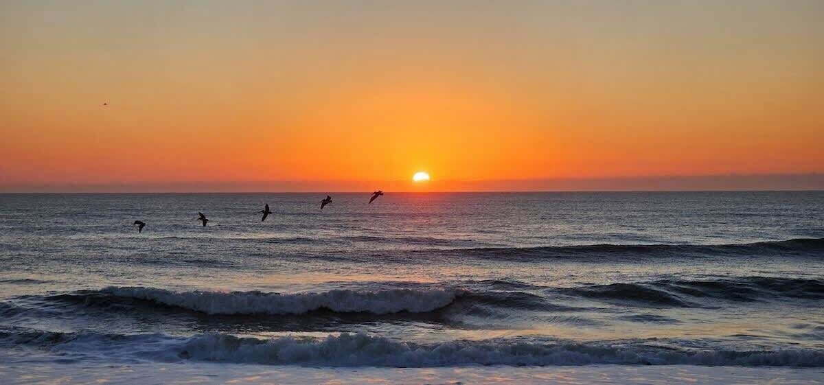 Photo of Others in Waves