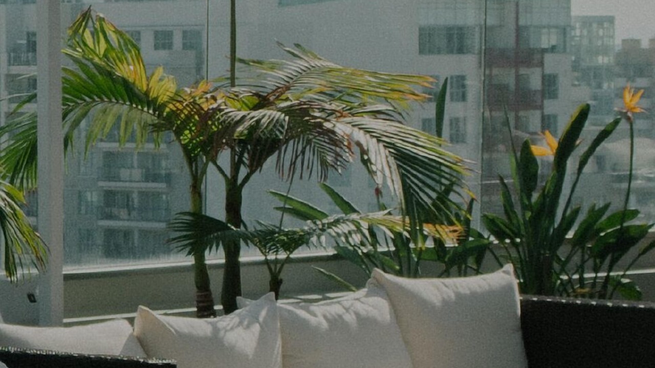 Photo of Outdoor in Shaw