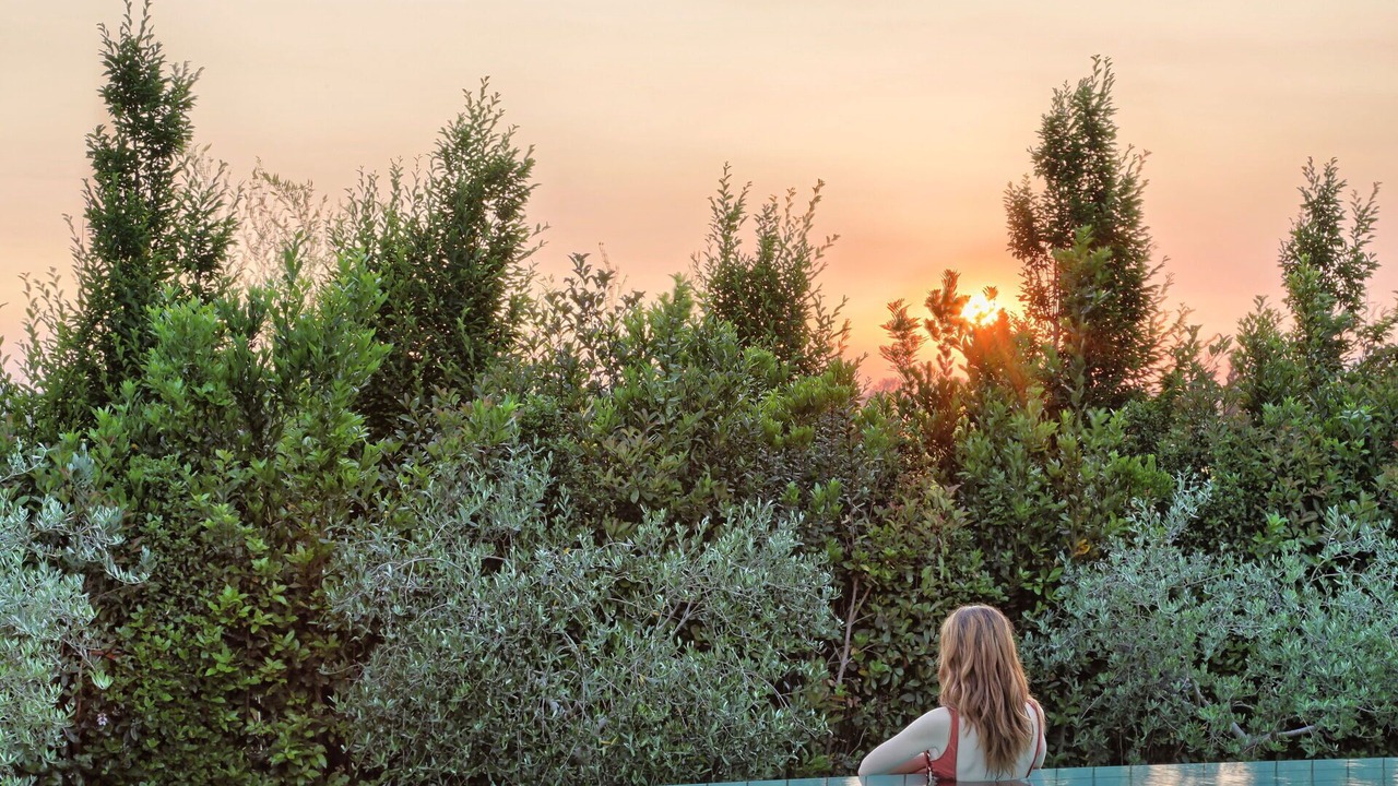 Photo of Outdoor in Palaia