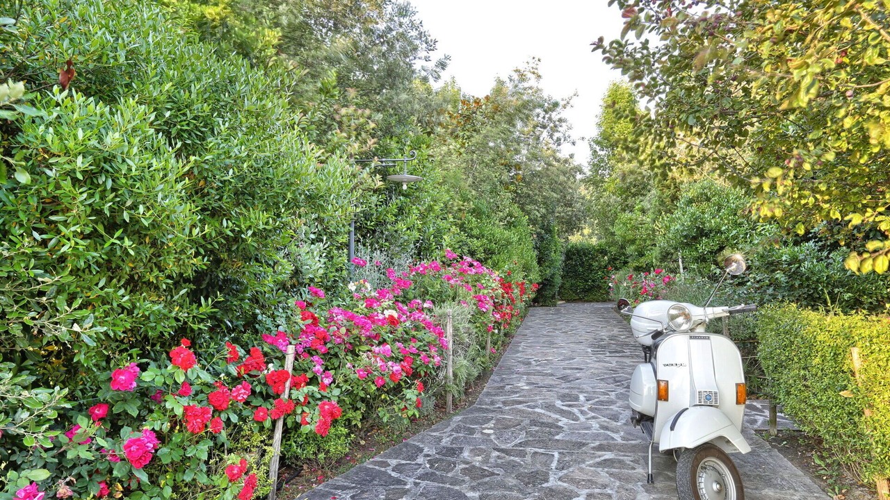 Photo of Outdoor in Palaia