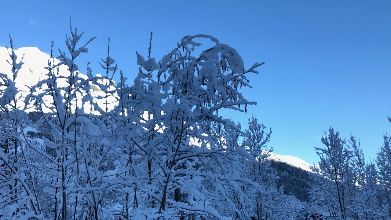 Photo of Others in Les Contamines-Montjoie